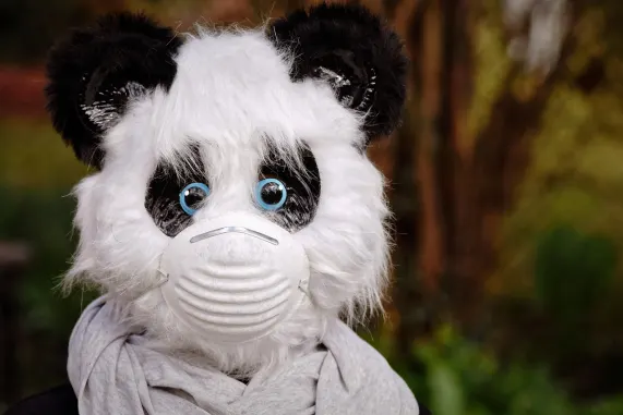 Pronto Casino Kundeservice